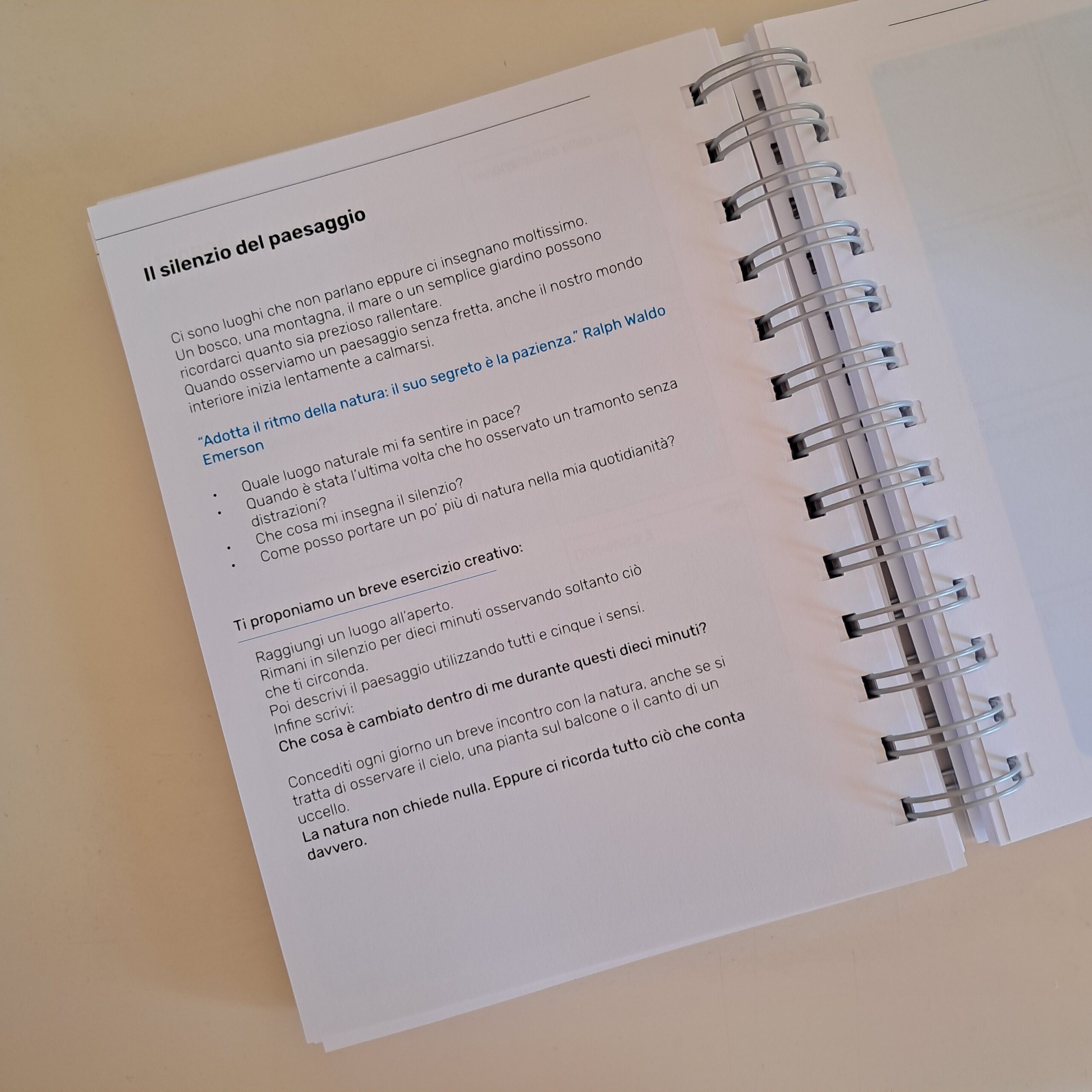 Agenda Armonica 2027 - immagine 3