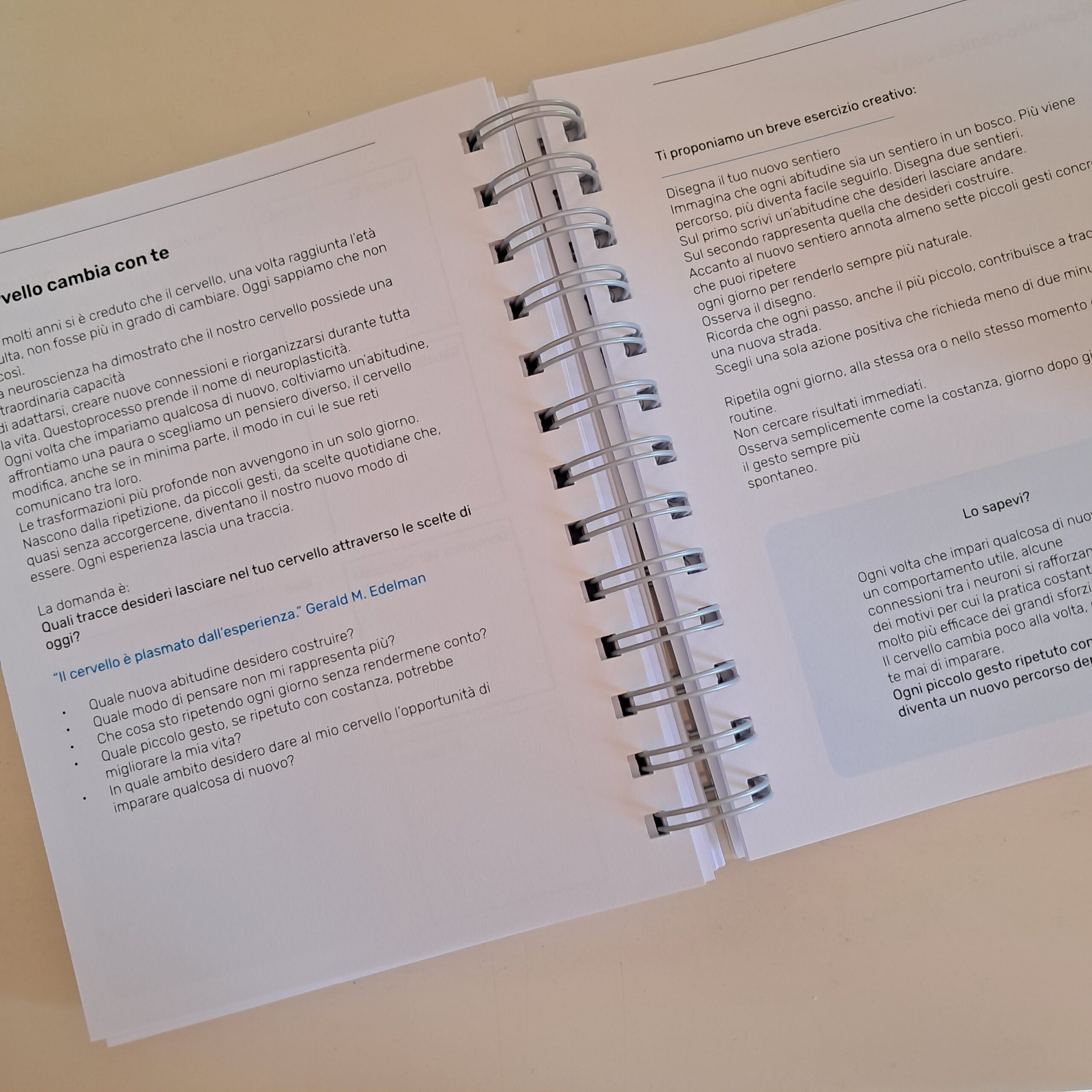 Agenda Armonica 2027 - immagine 10