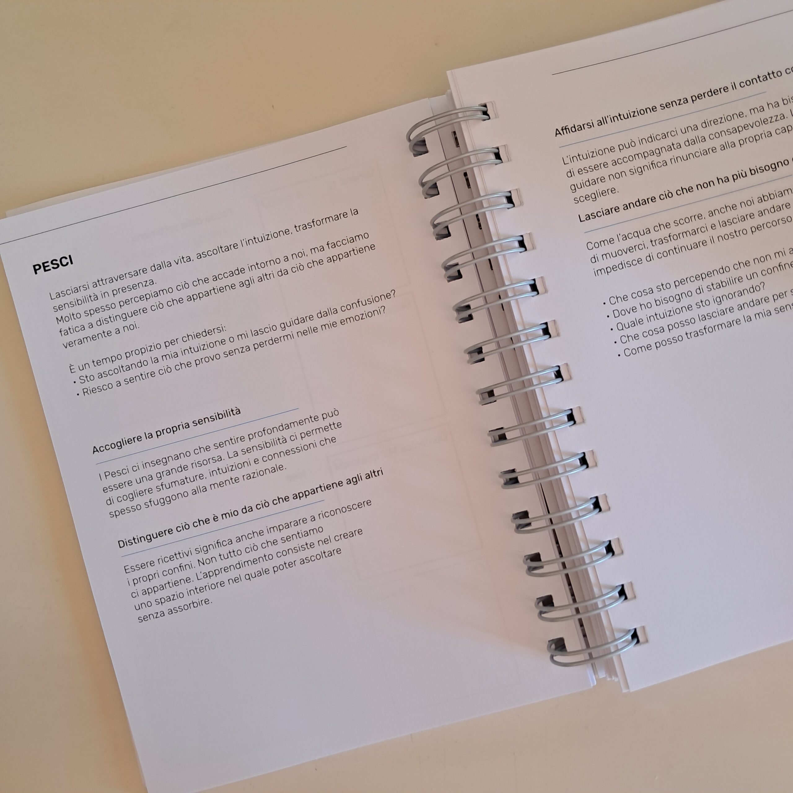 Agenda Armonica 2027 - immagine 7